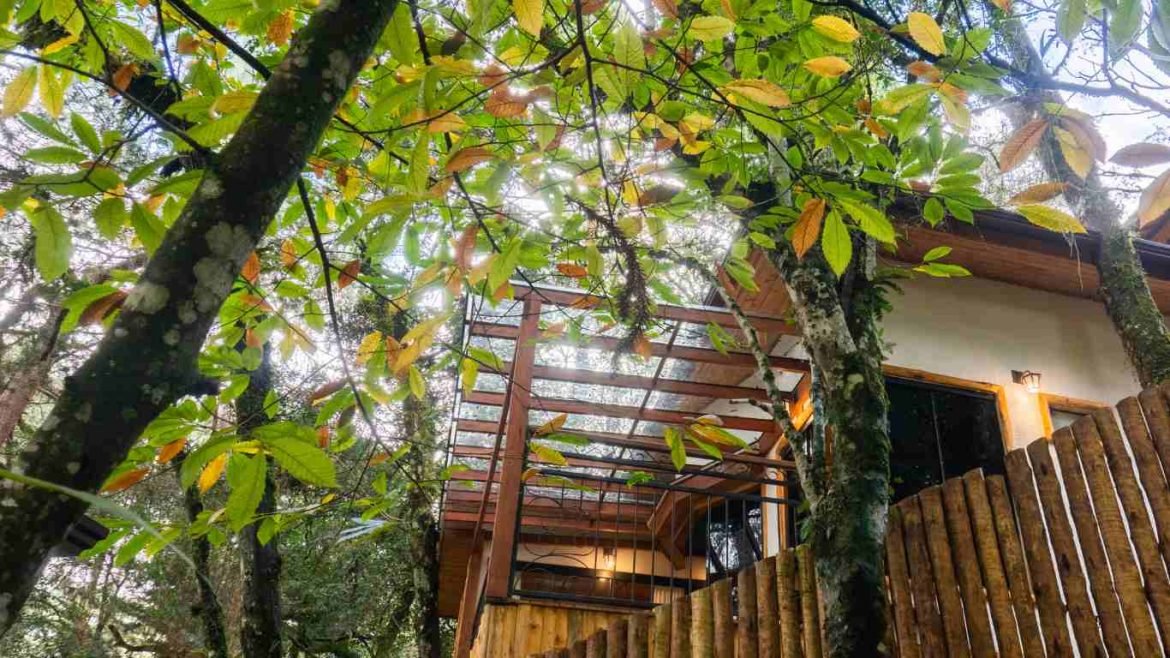 Casa de campo sustentavel em lSF